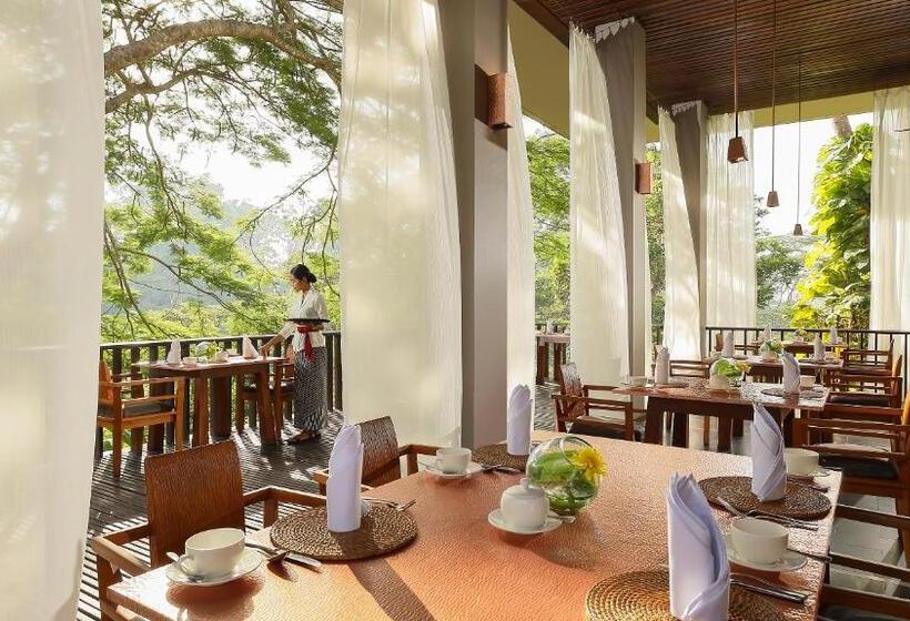 Maya Ubud Resort & Spa