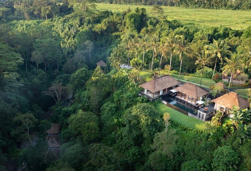Maya Ubud Resort & Spa
