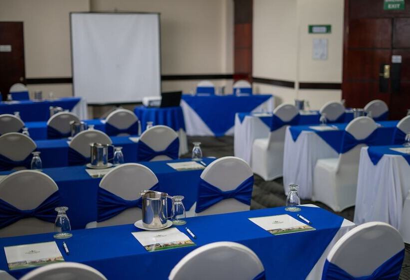 Отель Palma Real