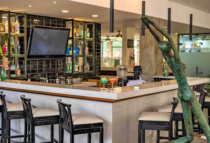 Отель Palma Real