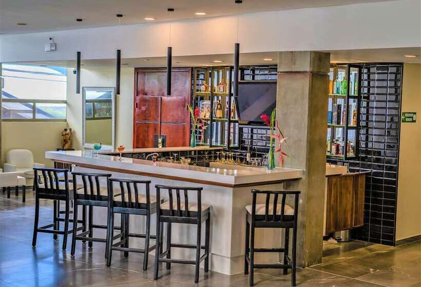 Отель Palma Real