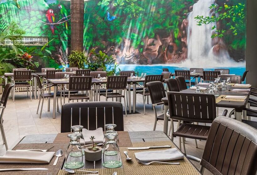 Отель Palma Real