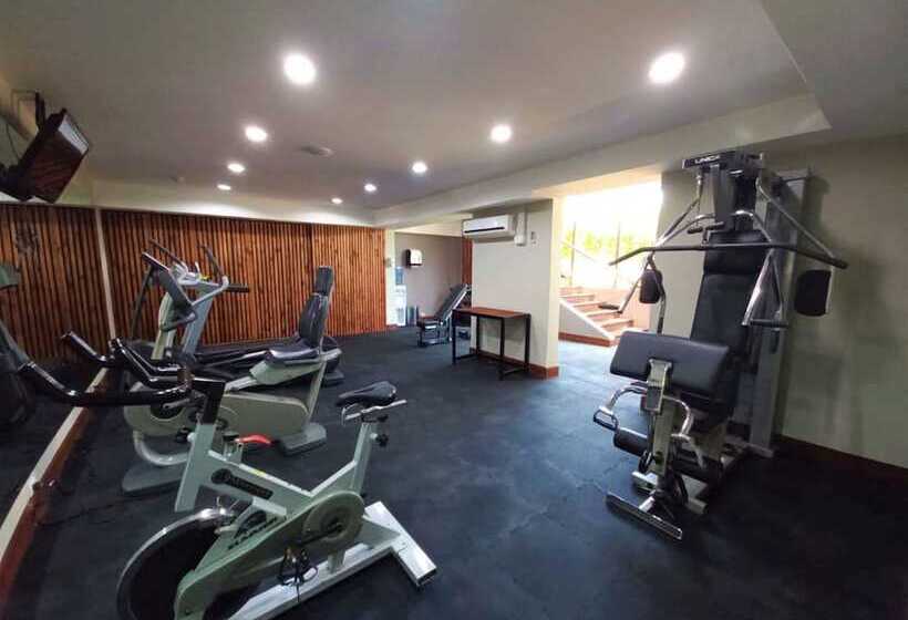 Отель Palma Real