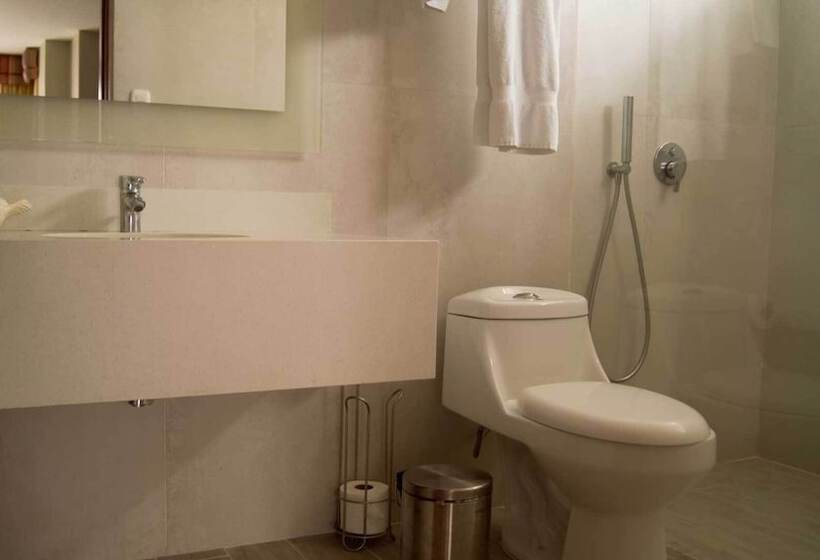 Отель Palma Real