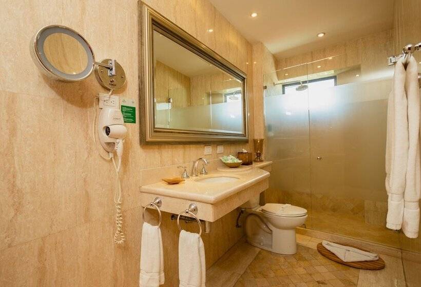 Отель Palma Real