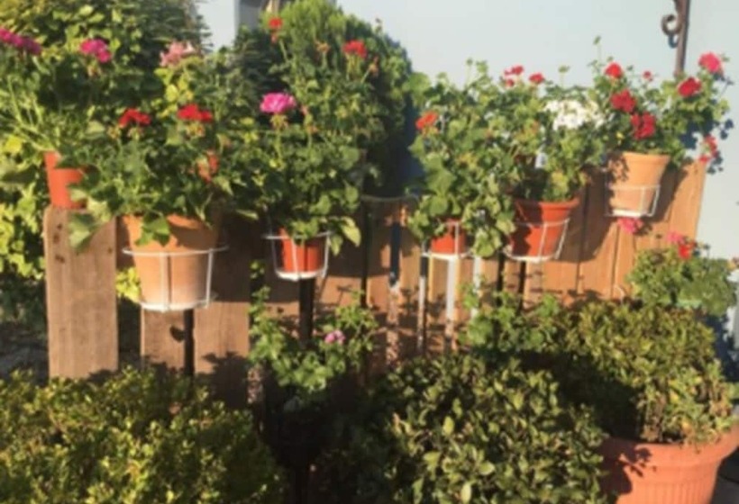 Отель Patilla Ciudad De Requena