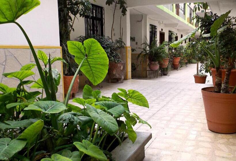 Отель Posada Las Casas