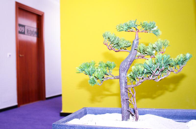 ホテル Princesa Solar 4 Adults Recommended