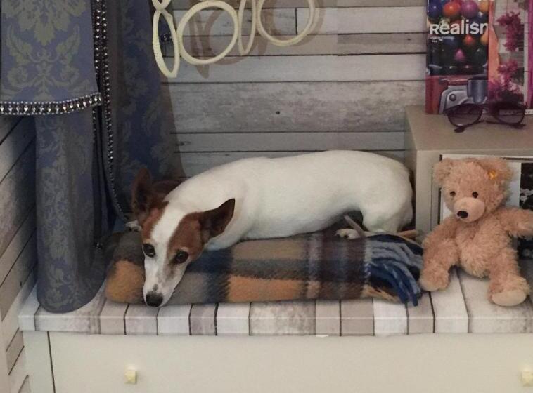 Отель Relais Villa d'Assio