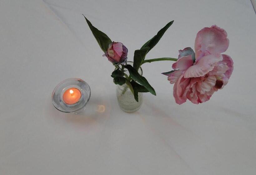 هتل روستایی Posada La Mies