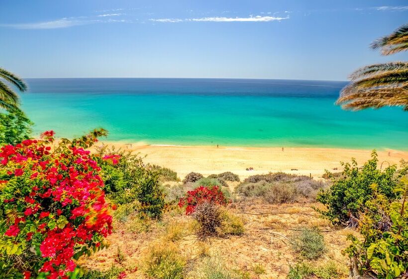 ホテル Sbh Club Paraiso Playa