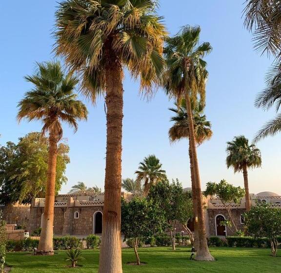 בית מלון כפרי Seti Abu Simbel Lake Resort