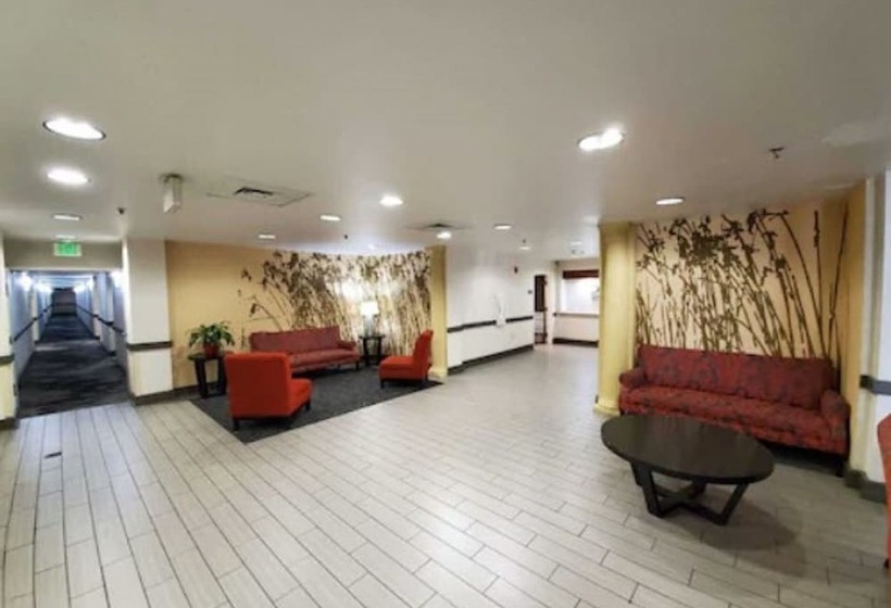 בית מלון כפרי Bwi Suites