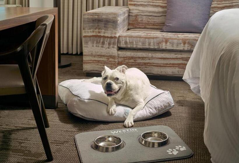 בית מלון כפרי The Westin Charlotte