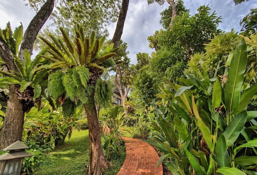 Mangosteen Ayurveda & Wellness Resort   Sha Plus