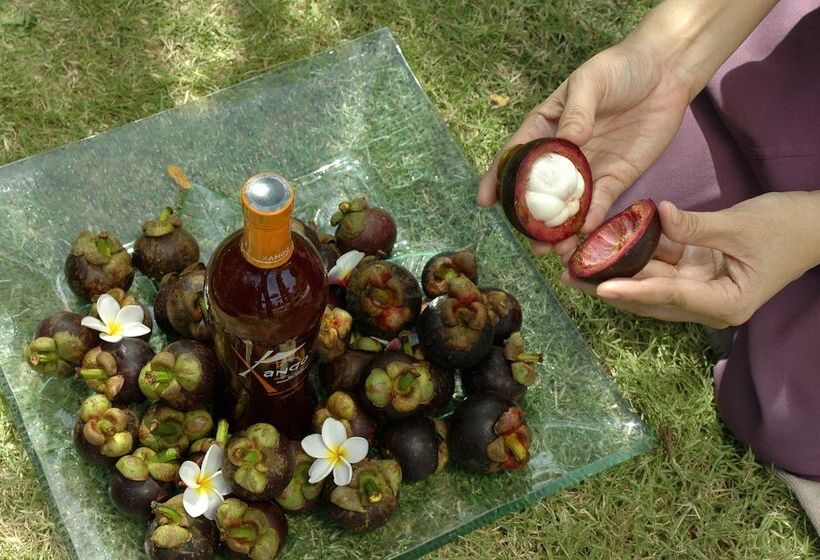 Mangosteen Ayurveda & Wellness Resort   Sha Plus
