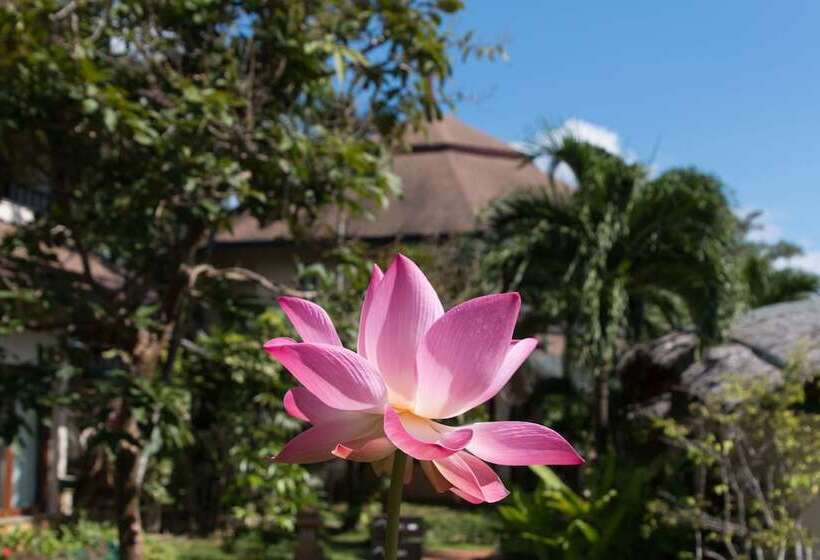 Mangosteen Ayurveda & Wellness Resort   Sha Plus