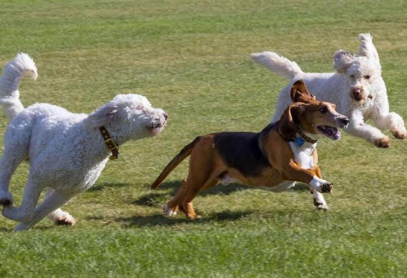 Мотель Marianna Inn Panguitch