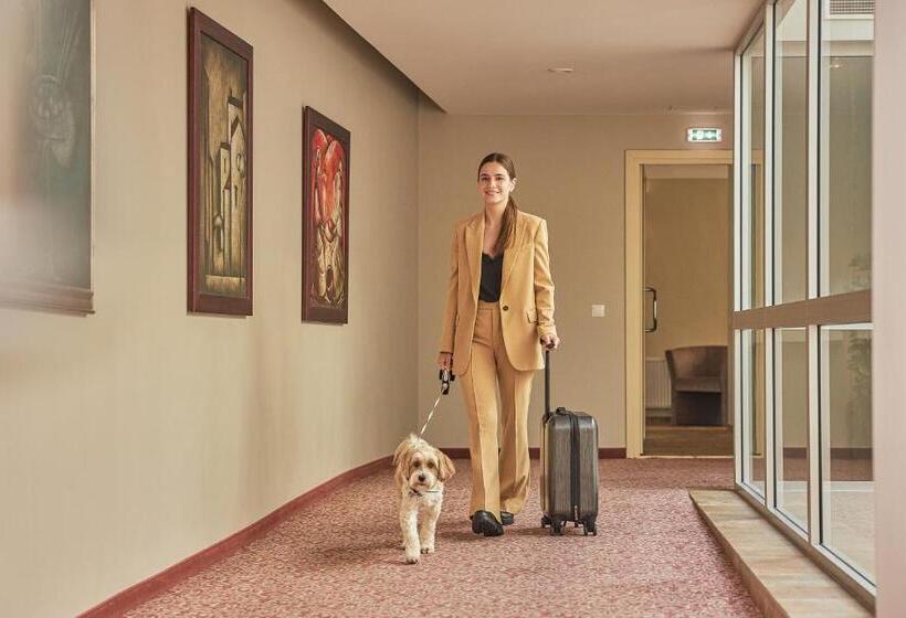 Ratonda Centrum Hotels