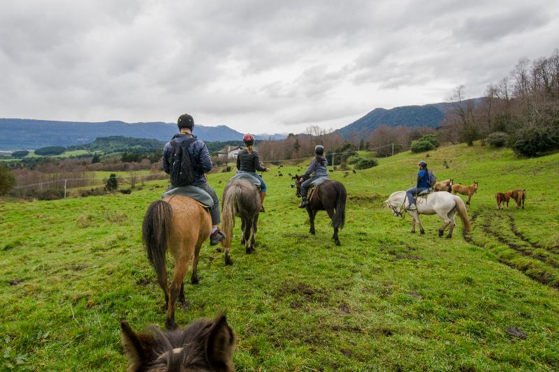 Termas Puyehue Wellness & Spa Resort
