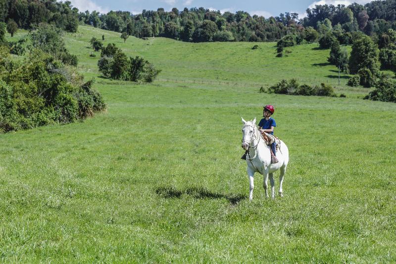 Termas Puyehue Wellness & Spa Resort