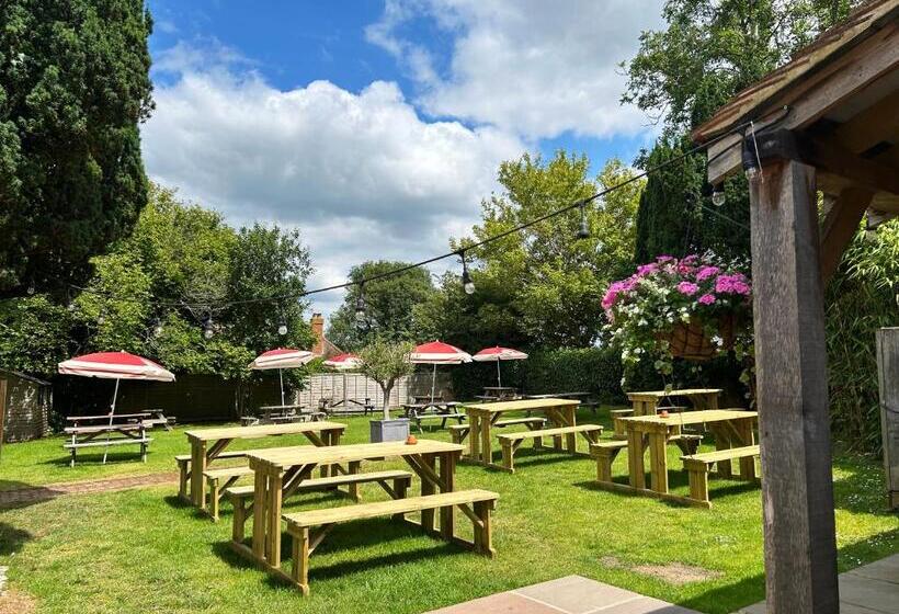 Общежитие The Bear Inn