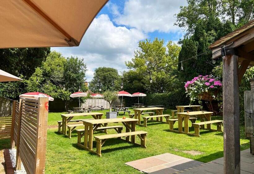 Общежитие The Bear Inn