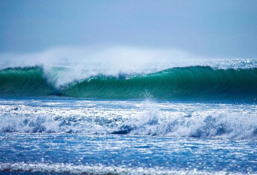 فندق صغير Tayought Surf House