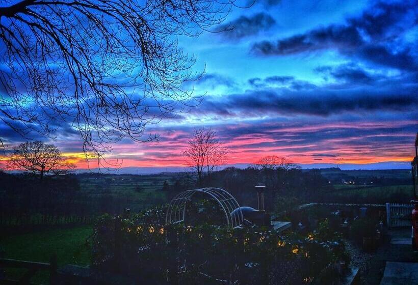 Bed and Breakfast Park House