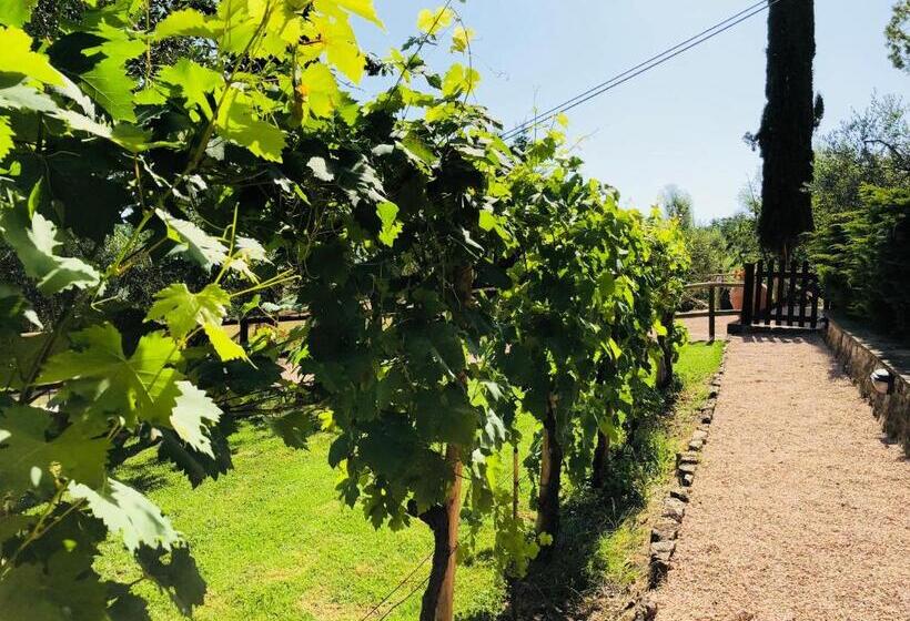 בית מלון כפרי Agriturismo Borgo Il Bonagino