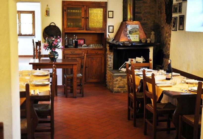 Отель Agriturismo Il Picchio Verde