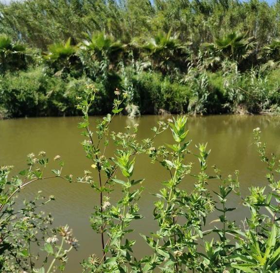 호텔 Azienda Agrituristica Baglio Carta