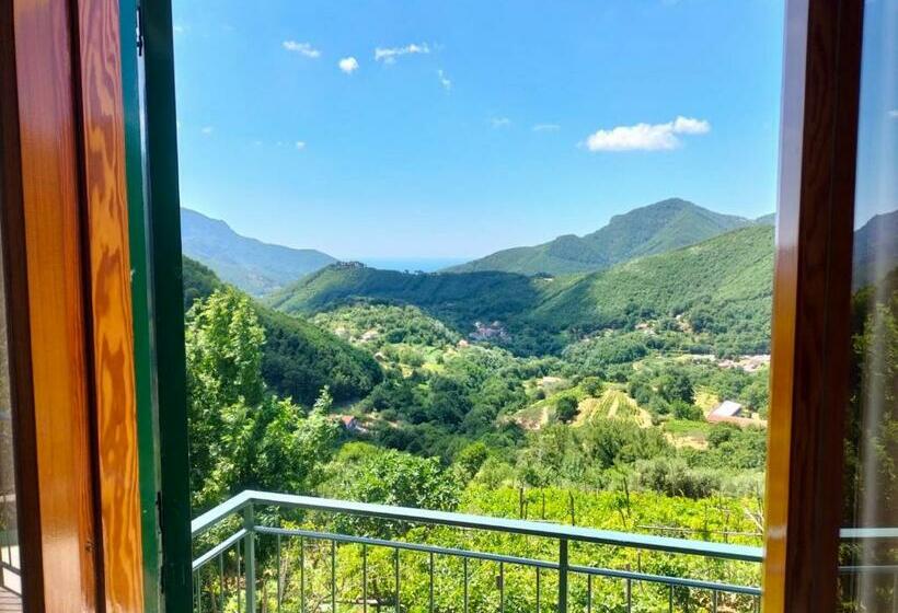 בית מלון כפרי La Casa In Vigna