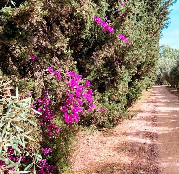 בית מלון כפרי Luna&limoni Country