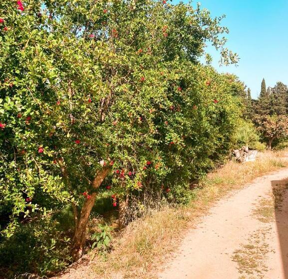 בית מלון כפרי Luna&limoni Country