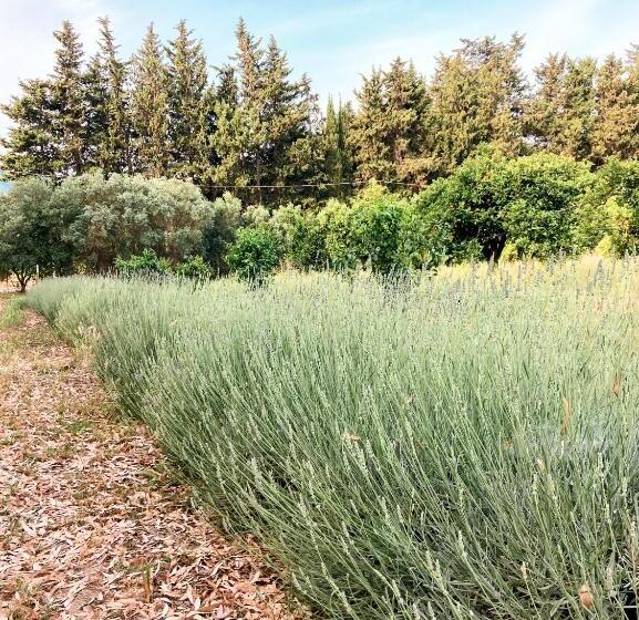 בית מלון כפרי Luna&limoni Country