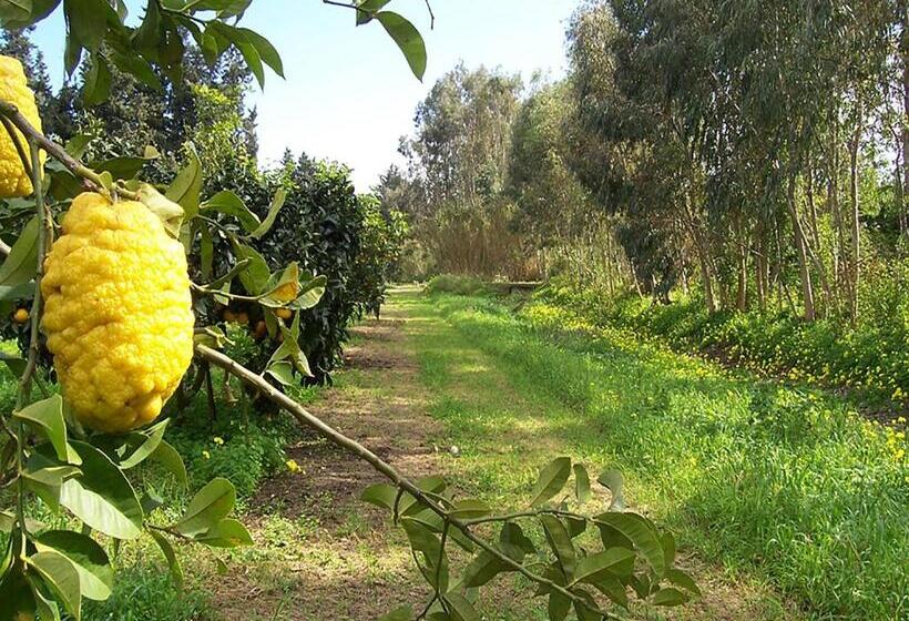 בית מלון כפרי Luna&limoni Country