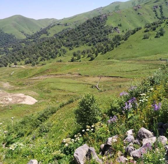 هتل David Apt On Bakuriani Orbi Palace