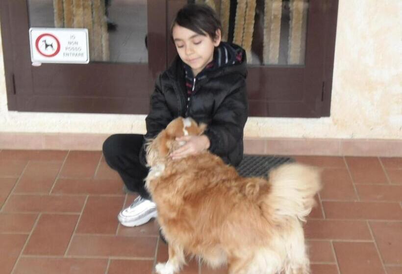 هتل روستایی Poggio Petrella