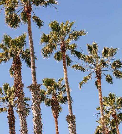 Found Hotel, Santa Monica