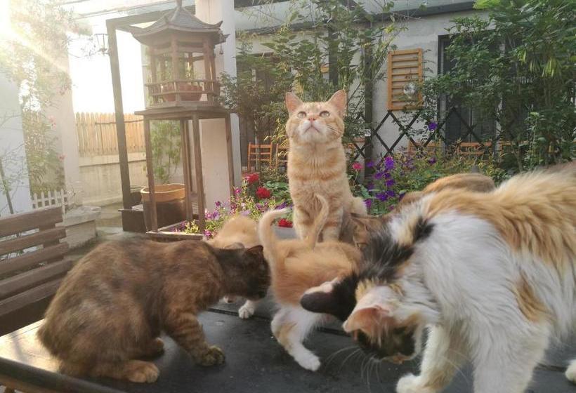 호스텔 Anxi International Youth