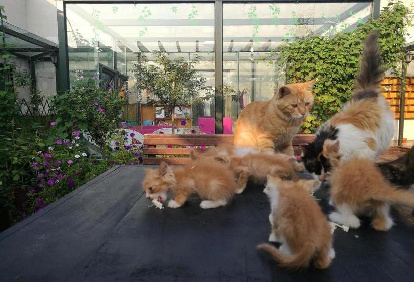 호스텔 Anxi International Youth