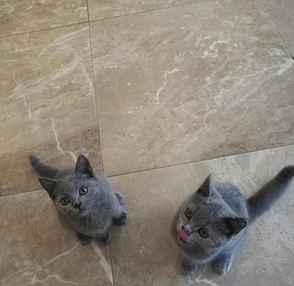 호스텔 Anxi International Youth