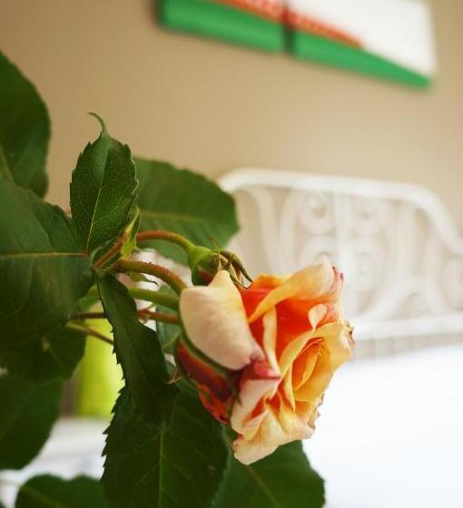 پانسیون Alexander Rooms