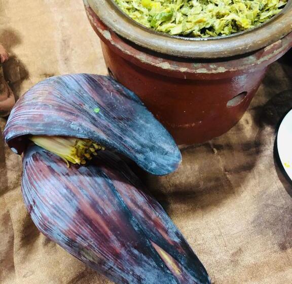 פנסיון Ariya Rest & Ayurveda Spa