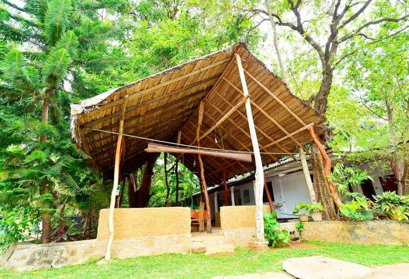 פנסיון Ariya Rest & Ayurveda Spa