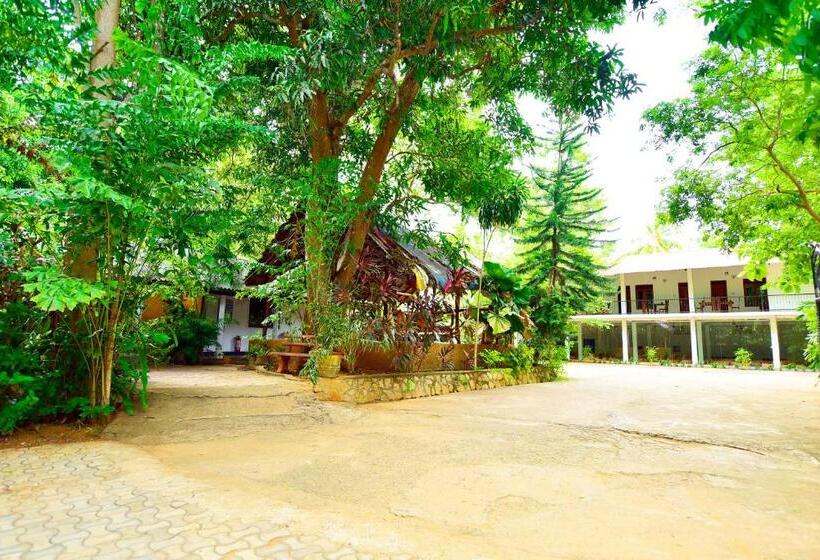 פנסיון Ariya Rest & Ayurveda Spa