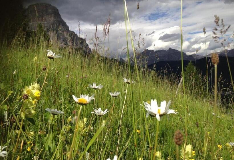 Пансион Ciasa Roenn