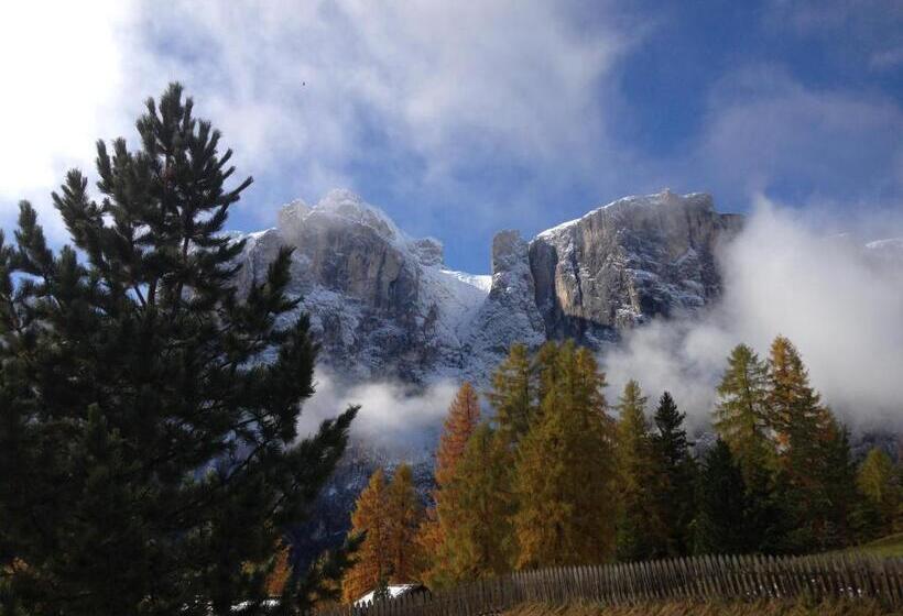 Пансион Ciasa Roenn