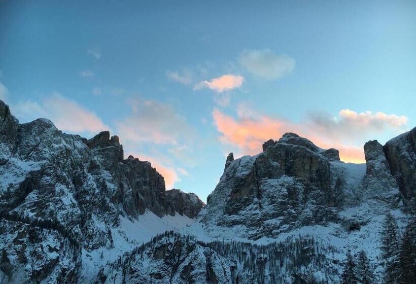 Пансион Ciasa Roenn